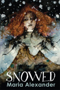 Snowed young adult novel cover art