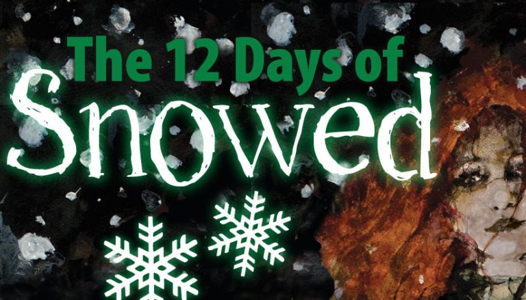 12 days of snowed book tour banner