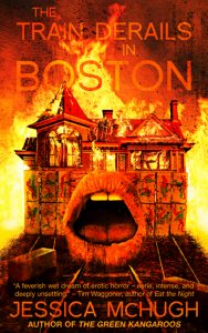 train derails in boston SJW genre cover