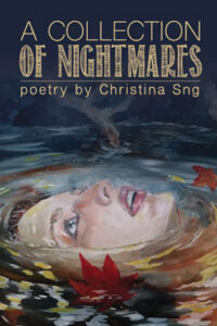 A Collection of Nightmares by Christina Sng